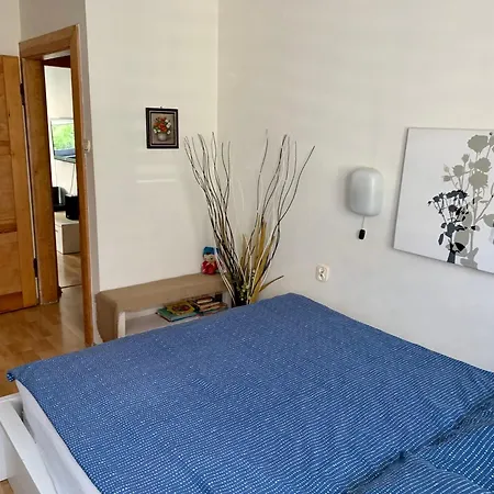 Apartament Joanna Parter Blisko Rynku, Onkologii, Strefy Ekonomicznej, Parking Bez Oplat * Гливице
