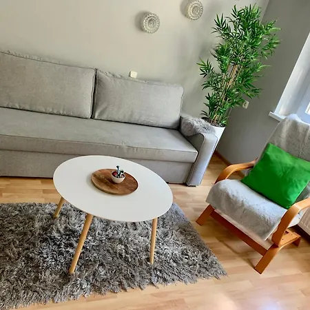 Apartament Joanna Parter Blisko Rynku, Onkologii, Strefy Ekonomicznej, Parking Bez Oplat Гливице