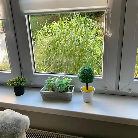 Joanna Parter Blisko Rynku, Onkologii I Strefy Ekonomicznej Apartment *