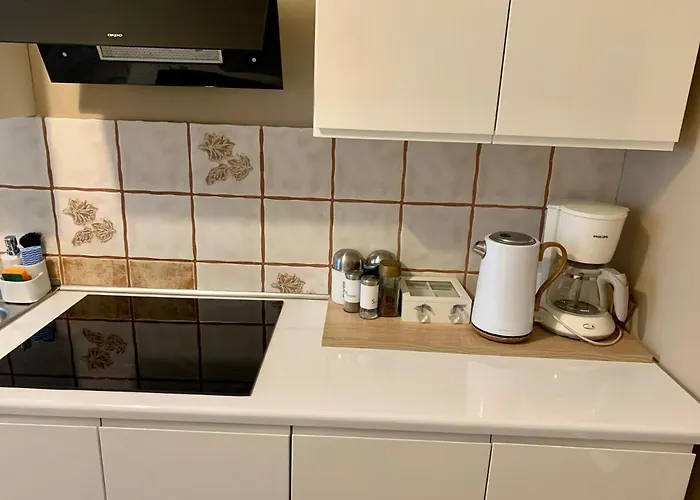 Appartement Joanna Parter Blisko Rynku, Onkologii I Strefy Ekonomicznej