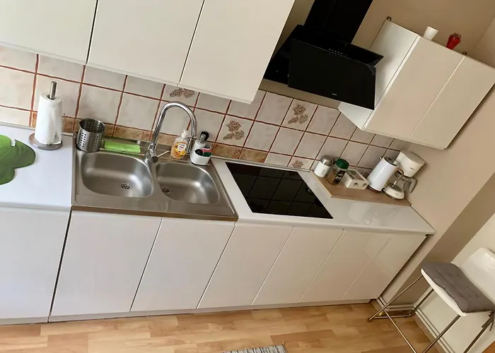 Appartement Joanna Parter Blisko Rynku, Onkologii I Strefy Ekonomicznej Gliwice