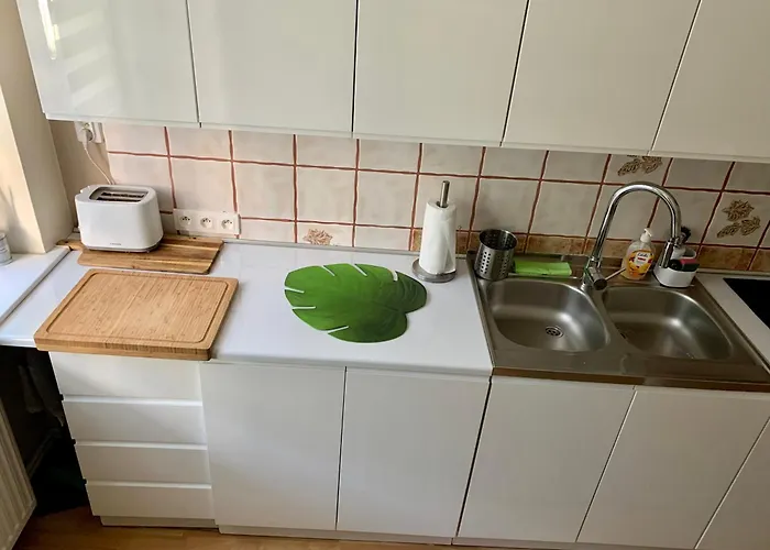 Joanna Parter Blisko Rynku, Onkologii I Strefy Ekonomicznej * Gliwice