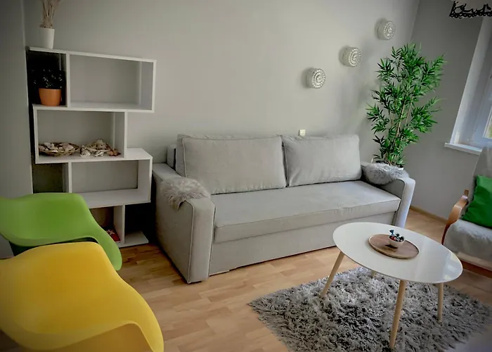 Appartement Joanna Parter Blisko Rynku, Onkologii I Strefy Ekonomicznej Gliwice