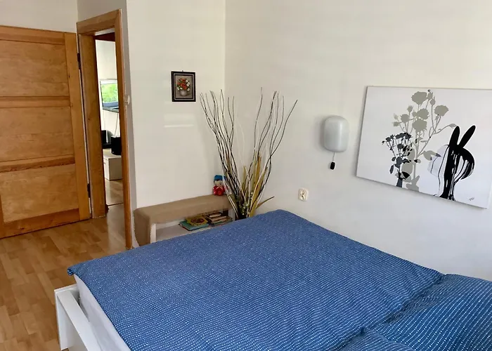 Joanna Parter Blisko Rynku, Onkologii I Strefy Ekonomicznej * Gliwice