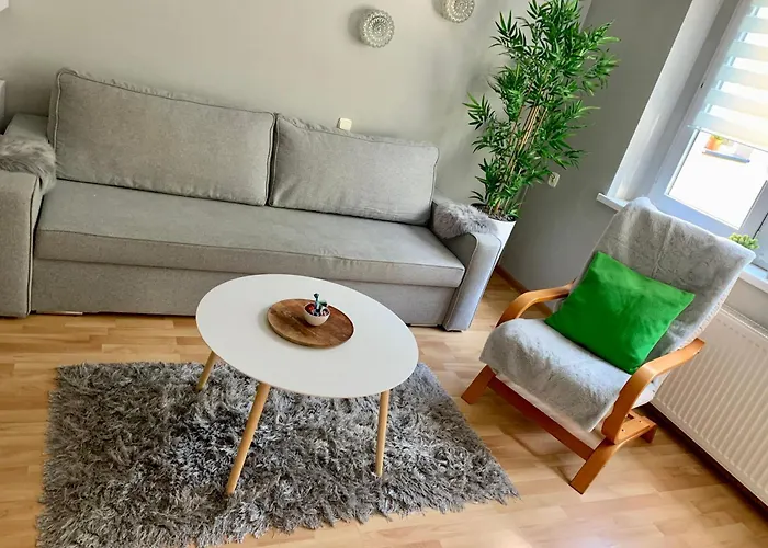 Joanna Parter Blisko Rynku, Onkologii I Strefy Ekonomicznej Γκλίβιτσε