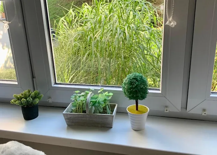 Joanna Parter Blisko Rynku, Onkologii I Strefy Ekonomicznej Appartement *