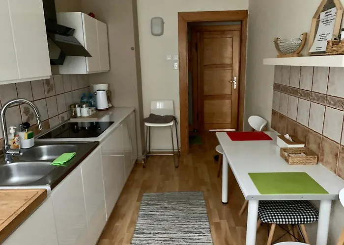 Appartement Joanna Parter Blisko Rynku, Onkologii I Strefy Ekonomicznej Gliwice